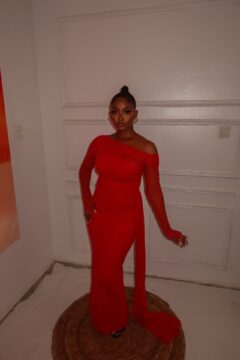 Allure Dress by SAMA (1)