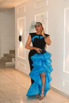 Drape Dress1